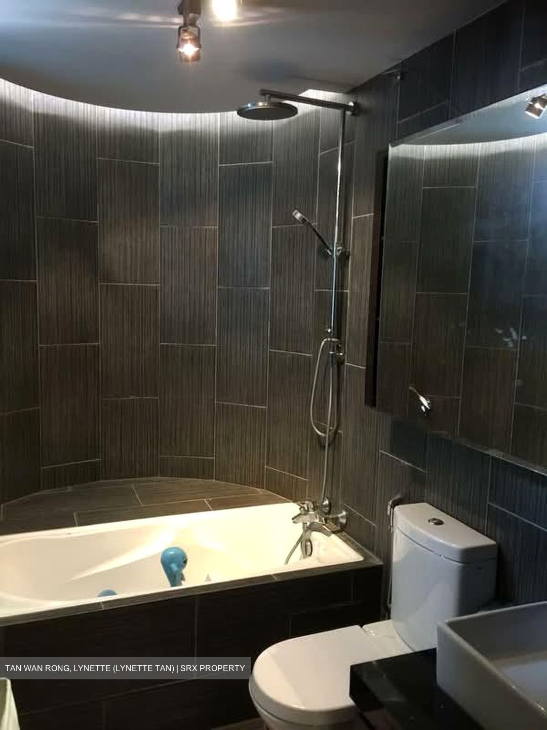 Valley Park (D10), Condominium #556403171